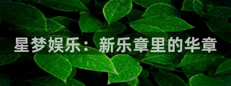 壹号平台娱乐