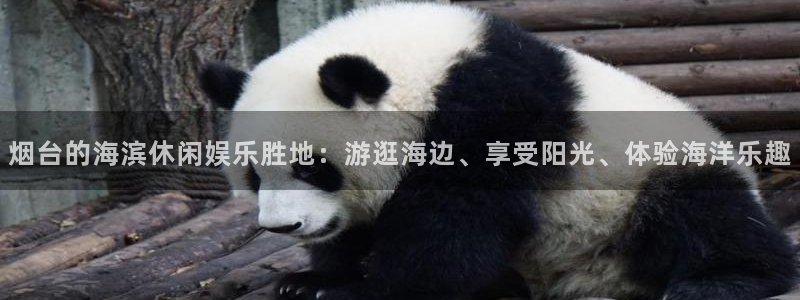 壹号app官网版下载