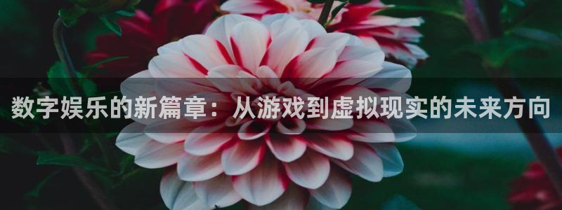 恒盛娱乐娱乐