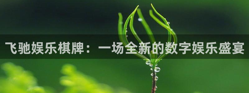 壹号电子娱乐app下载最新版