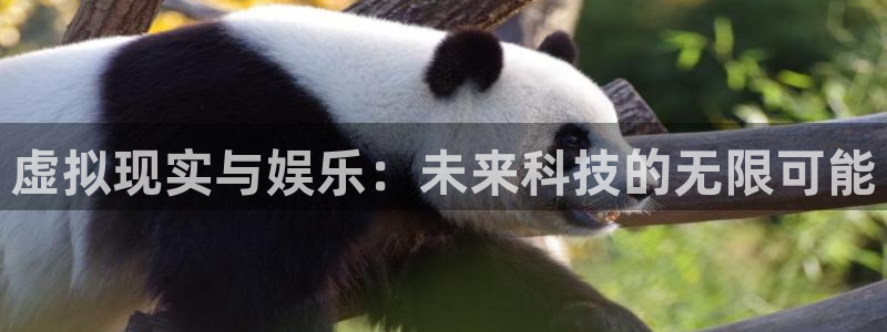 壹号玩家app下载