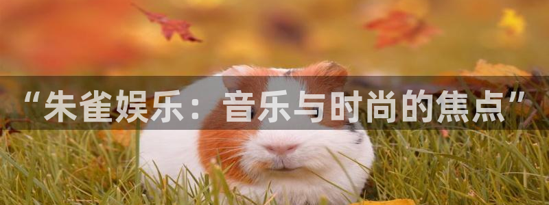 恒盛娱乐平台登录入口