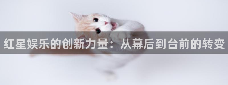 恒盛娱乐平台官网入口