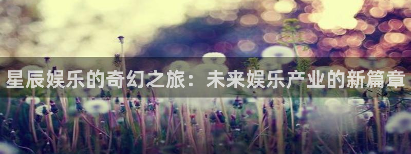 恒盛娱乐平台官方入口下载：星辰娱乐的奇幻之旅：未来娱乐产业的新篇章