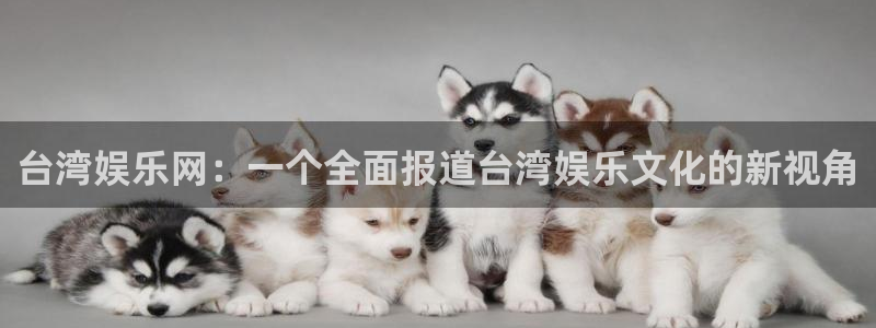 苹果版恒盛娱乐下载安装：台湾娱乐网：一个全面报道台湾娱乐文化的新视角