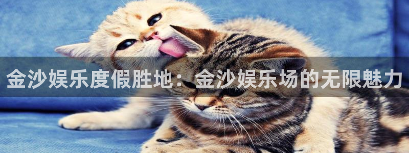 壹号大舞台下载链接：金沙娱乐度假胜地：金沙娱乐场的无限魅力