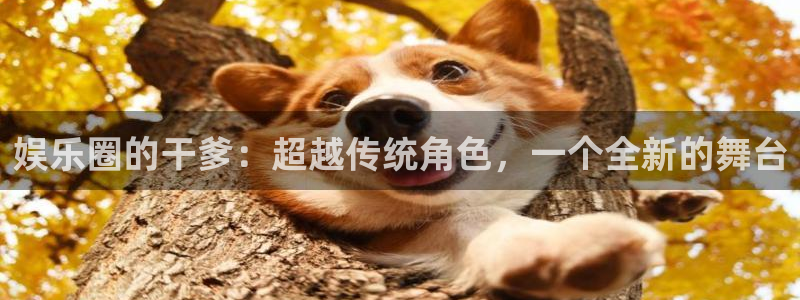 恒盛娱乐.ccm：娱乐圈的干爹：超越传统角色，一个全新的舞台