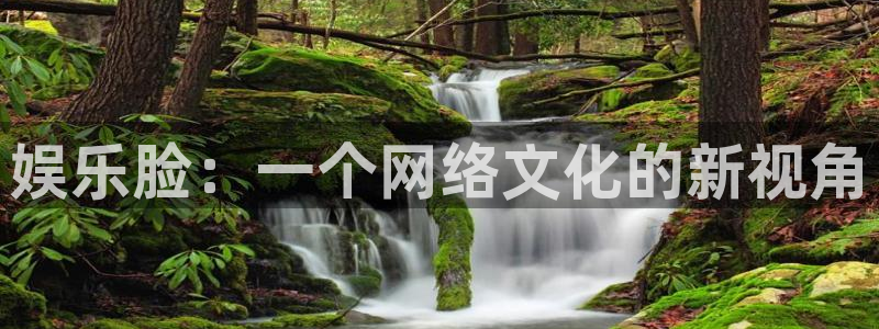 恒盛娱乐平台官网入口：娱乐脸：一个网络文化的新视角