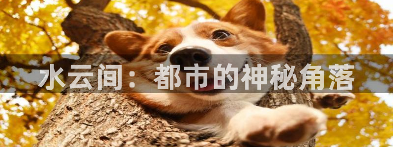 恒盛娱乐游戏官网平台入口：水云间：都市的神秘角落