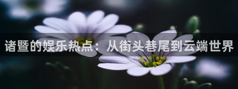 恒盛娱乐.ccm苹果版：诸暨的娱乐热点：从街头巷尾到云端世界
