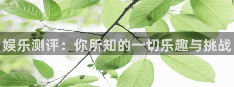 恒盛娱乐退款怎么退：娱乐测评：你所知的一切乐趣与挑战