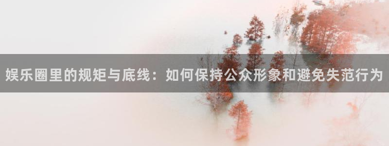 恒盛娱乐的平台：娱乐圈里的规矩与底线：如何保持公众形象和避免失范行为