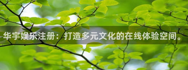 恒盛娱乐官方网站：华宇娱乐注册：打造多元文化的在线体验空间。