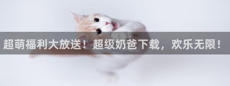 恒盛娱乐ccmpc