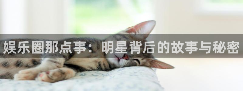 恒盛娱乐.ccmpc正版官网版下载：娱乐圈那点事：明星背后的故事与秘密